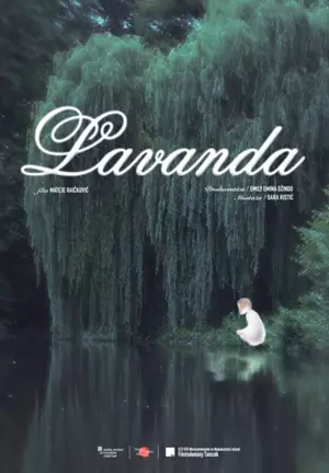 Lavanda